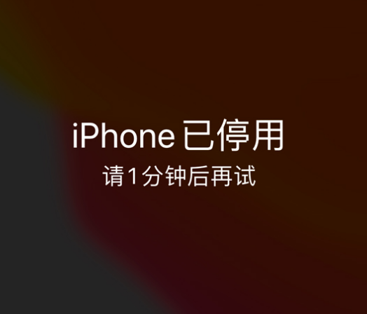 高密苹果手机维修分享:iPhone 显示“不可用”或“已停用”怎么办？还能保留数据吗？ 