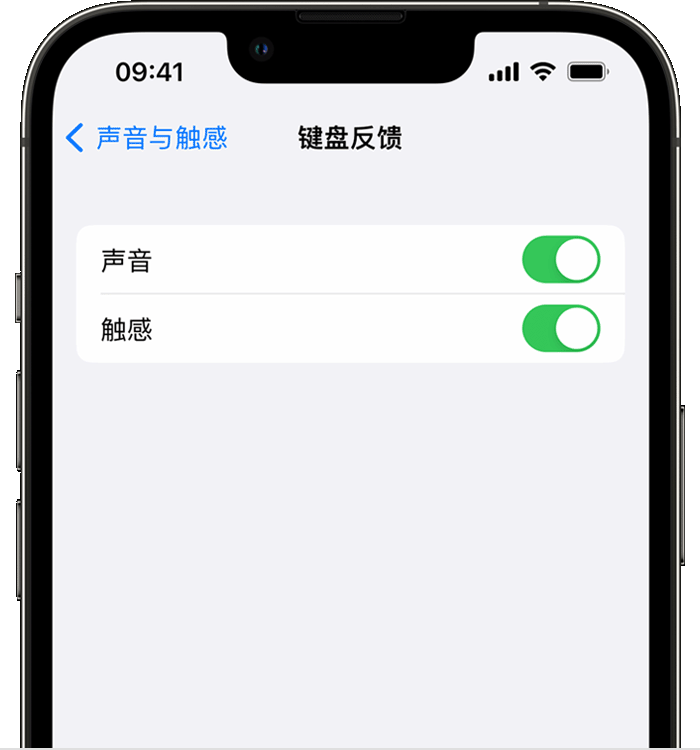 高密苹果14维修店分享如何在 iPhone 14 机型中使用触感键盘 