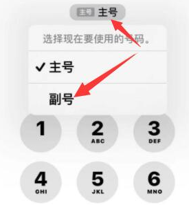 高密苹果14维修店分享iPhone 14 Pro Max使用副卡打电话的方法 