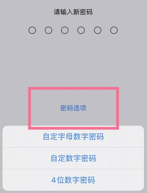 高密苹果14维修分享iPhone 14plus设置密码的方法 