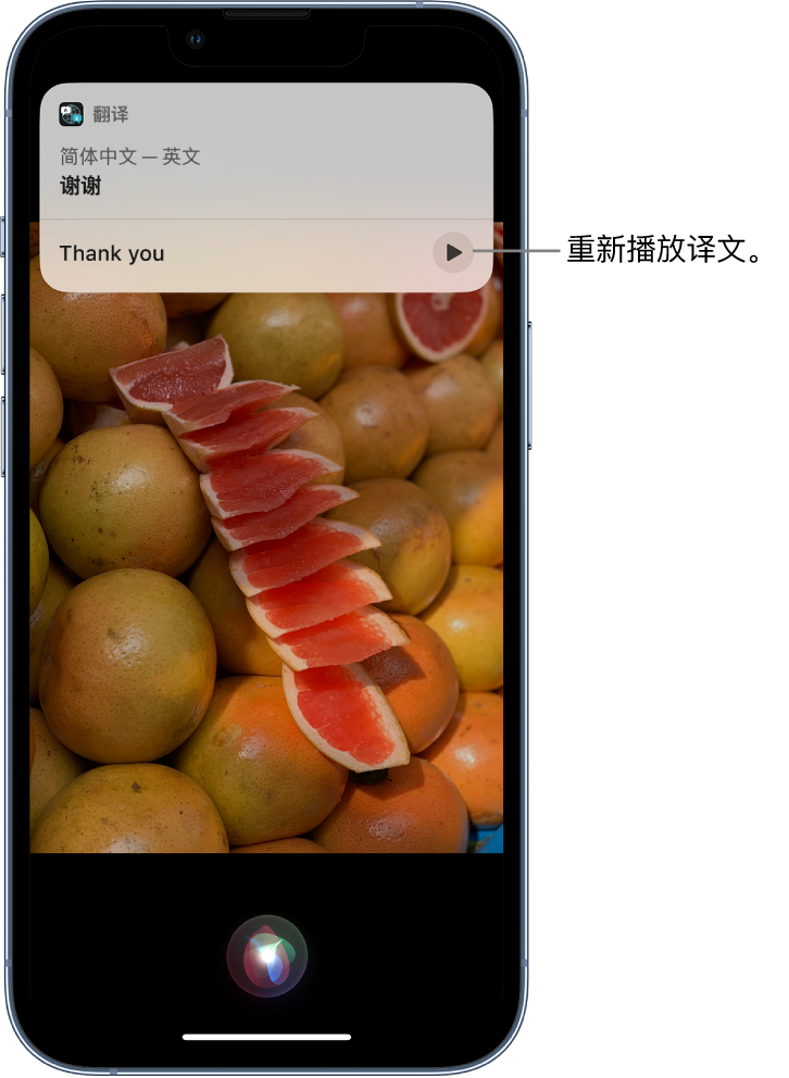 高密苹果14维修分享 iPhone 14 机型中使用 Siri：了解 Siri 能帮你做什么 