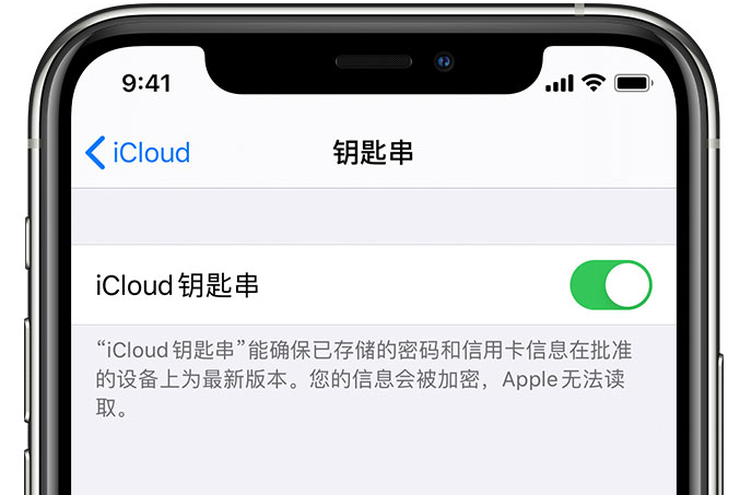 高密苹果手机维修分享在 iPhone 上开启 iCloud 钥匙串之后会储存哪些信息 
