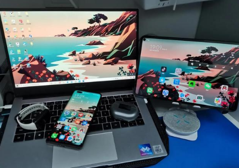 高密苹果手机维修分享为什么iPad屏幕更大价格却比iPhone低 
